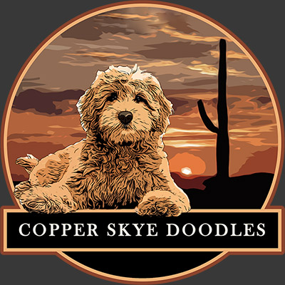 Copper Skye Doodles logo
